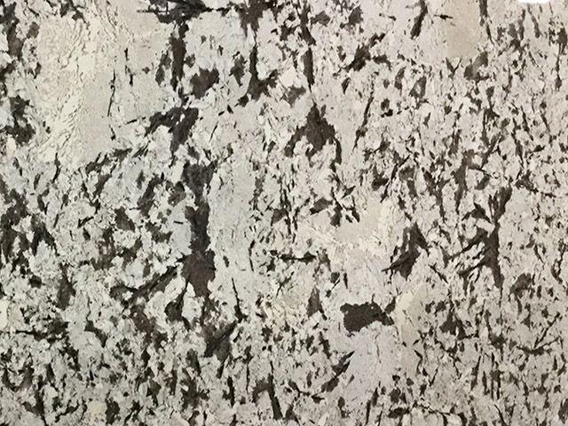Splendor White Granite Countertop Sample